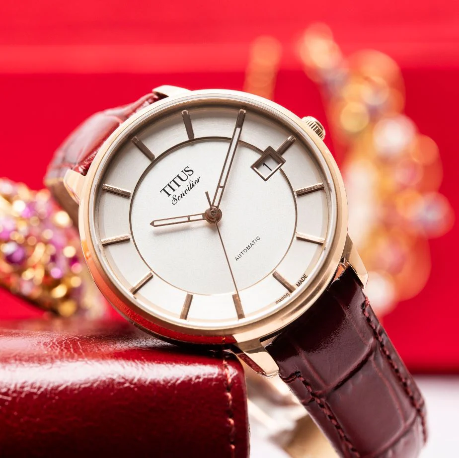 SOLVIL ET TITUS SONVILIER W06-03181-004 3 HANDS DATE AUTOMATIC WOMEN WATCH - Image 6